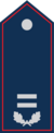 Dienstgradabzeichen Brandmeisterin / Brandmeister