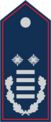 Dienstgradabzeichen Gemeindebrandinspektorin / Gemeindebrandinspektor
