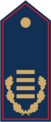 Dienstgradabzeichen Kreisbrandinspektorin / Kreisbrandinspektor