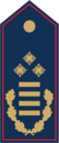 Dienstgradabzeichen Landesbrandinspektorin / Landesbrandinspektor