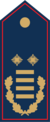 Dienstgradabzeichen Regierungsbrandinspektorin / Regierungsbrandinspektor